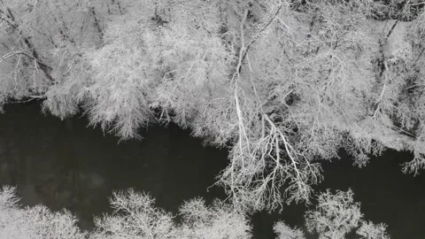 River surrounded by snow covered trees aerial winter Stock Footage 146033129