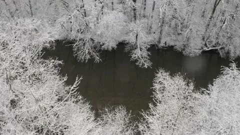 River surrounded by snow covered trees aerial Stock Footage 146033348