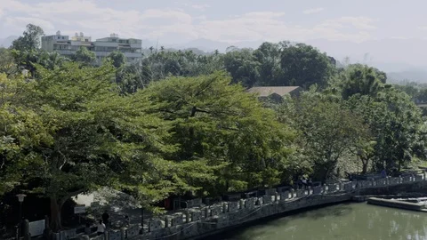A river surrounded by trees and trails Stock Footage 101959926