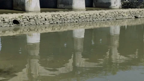 A river surrounded by trees and trails Stock Footage 101961766