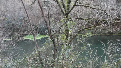 A river surrounded by trees in autumn Stock Footage 324681694