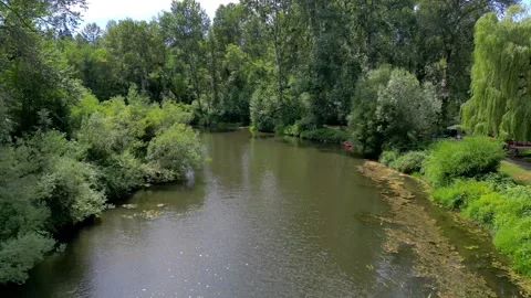 River surrounded by trees on clear day  Vídeo Stock 294708435