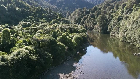 River Surrounded by Trees in Hills 스톡 동영상 255747362