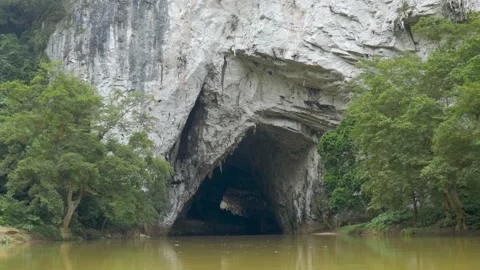 A river surrounded by trees passes through a gigantic cave, in Vietnam Stock Footage 232435029