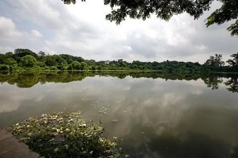 River surrounded by trees underneath a beautiful cloud filled sky Stock Photos