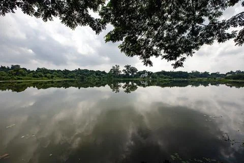 River surrounded by trees underneath a beautiful cloud filled sky Stock Photos