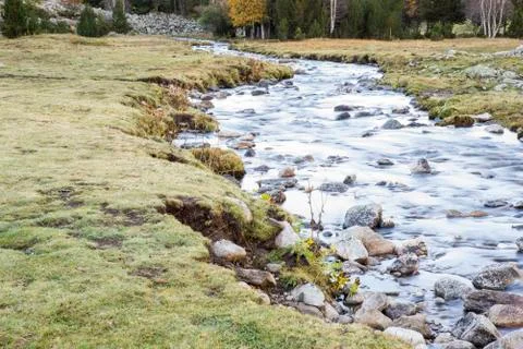 River surrounded by vegetation Stock Photos