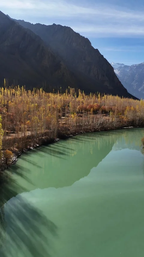 River of Suru Valley flowing beneath golden trees and bare branches—vertical Stock Footage 310662375
