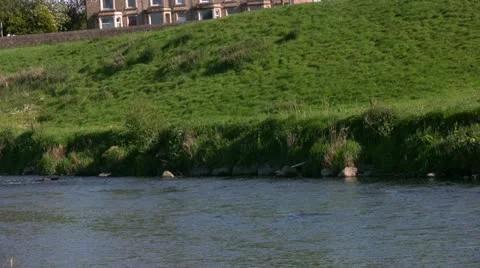 River with swallows swooping low Vidéo 20494538