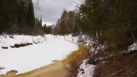 River in taiga during the spring. Siberia. Sounds of woodpecker. Stock Footage 269227692