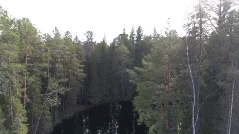 River in taiga Siberia, moving camera Stock Footage 281074615