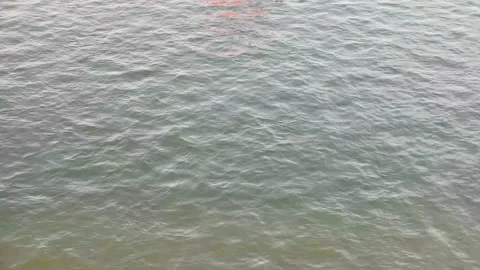 River tanker, Cologne Video stock 97975728