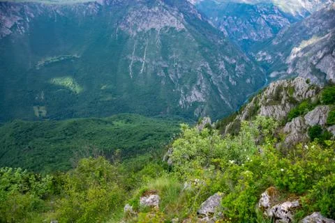 The river Tara flows at the depth of the canyon among the mountains. Stock-Fotos