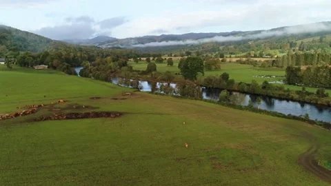 River Tay, Perth &amp;amp; Kinross - Rivers (2) Stock Footage 222929928