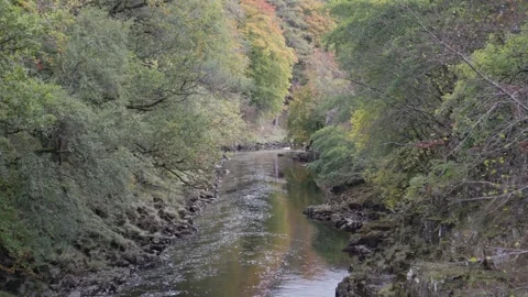 The River Tees below Low Force, Teesdale, County Durham, England, UK Stock Footage 319789200