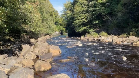 The River Tees, County Durham, England, UK Stock Footage 285179607