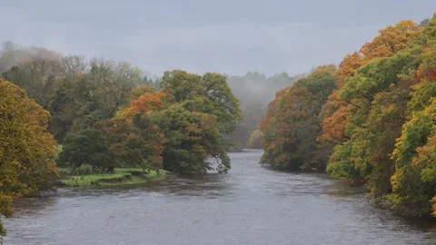 The River Tees during heavy rain in autumn, Teesdale, County Durham, UK Stock Footage 297750725