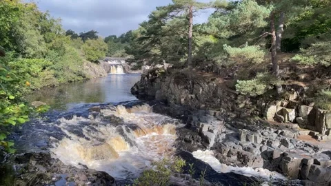 The River Tees at Low Force waterfalls in Autumn, County Durham, England, UK Vídeo Stock 285178398