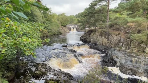 The River Tees at Low Force waterfalls in Autumn, County Durham, England, UK Stock Footage 285178400