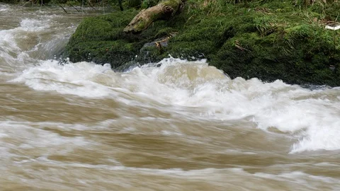 River teifi in flood close up side on to bank ceredigion Stock Footage 108075518