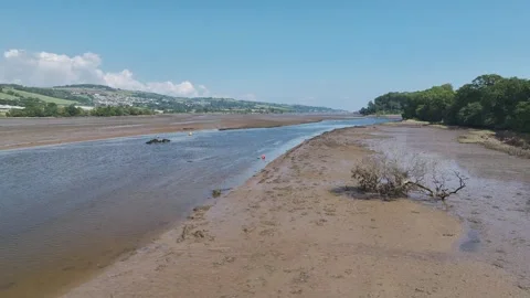 River Teign from a drone at low tide, Newton Abbot, Devon, England Vídeos de archivo 249566394