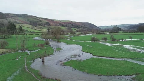 River Teme during high flow with tree in the river channel Video stock 144829993