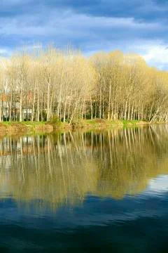 River ter 写真素材