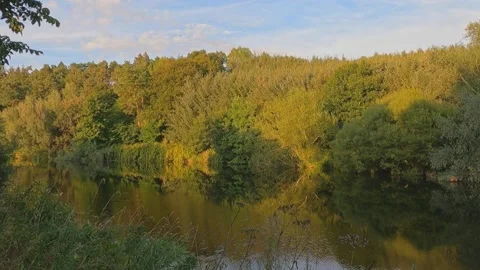 River Teviot in the evening in late summer Stock Footage 207569027
