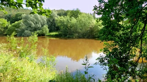 River Teviot in summer after rain, with reflections Stock Footage 246135920