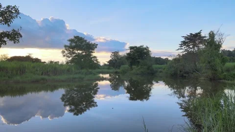 River in Thailand - Reflection of trees in the water Stock Footage 148249192