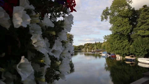 River Thames at Goring on Thames UK Stock Footage 255110311