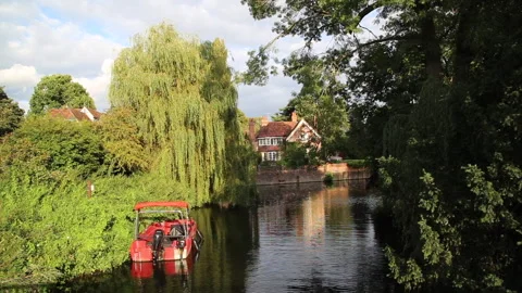 River Thames Goring UK Stock Footage 255116358