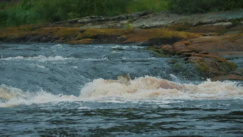 River threshold on a small forest river. Close-up. Slow motion. Stock Footage 157370737