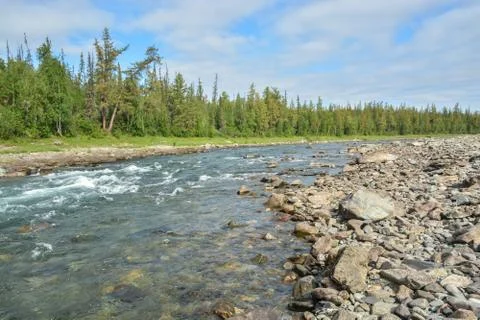 River threshold on the taiga. Foto stock