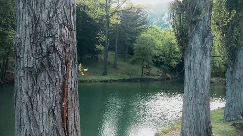 River through the canyon, trees in front 스톡 동영상 108317059