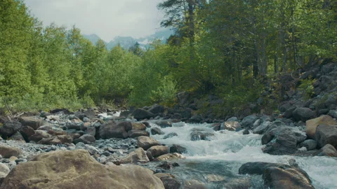 River Through Forest 1 스톡 동영상 132266739