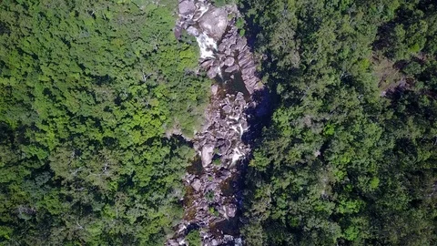 River through forest Stock Footage 81203796