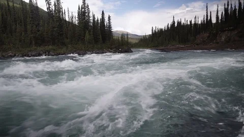 River through a forest Stock Footage 92365923