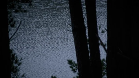 River through forest Stock Footage 94884627