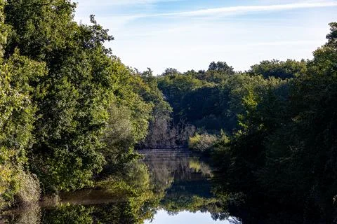 A river through the forest Stock Photos