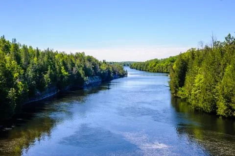 River through forest in summer under blue sky. Foto stock