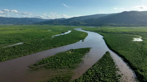 River through green valley Stock Footage 296790909