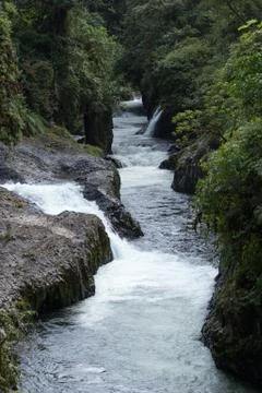 River through the jungle Stock Photos