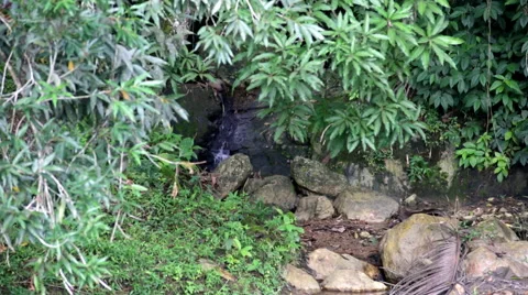 River through mountain rocks 스톡 동영상 53056617