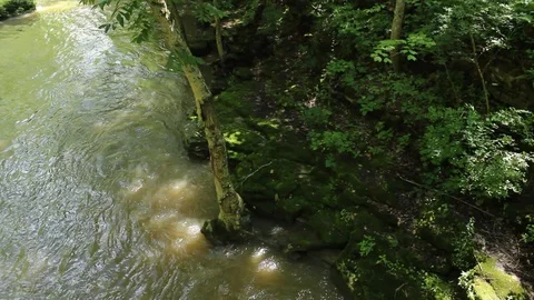 River Through Mystical Forest Stock Footage 106675320