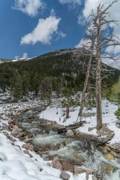 River Through Snow Stock Photos