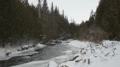 River through a snowy forest in winter Stock Footage 169262882