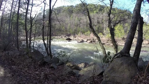 River through trees 2.7K 스톡 동영상 73125182