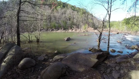 River through trees Stock Footage 73125168