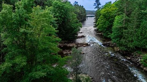 River through the trees Stock-Fotos